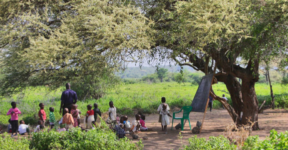 Schulen unter dem Baum